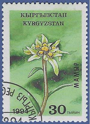 Kyrgyzstan # 38 1994 CTO H