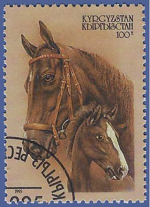 Kyrgyzstan # 74 1995 CTO H