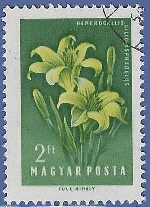 Hungary #1200 1958 CTO
