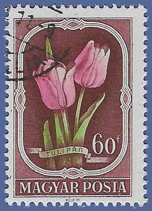Hungary # 976 1951 CTO