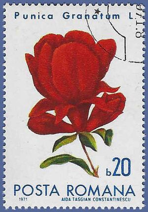 Romania #2249 1971 CTO