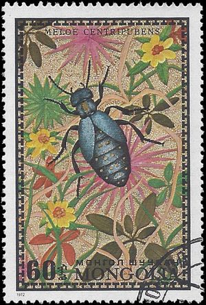 Mongolia # 671 1972 CTO