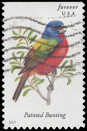 #4885 Songbirds Painted Bunting Booklet Single 2014 Used
