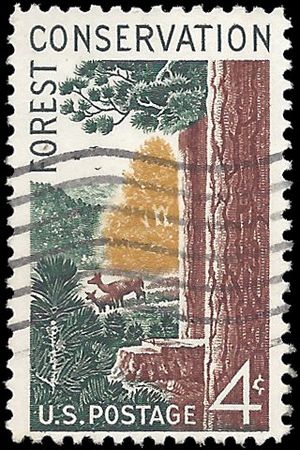 #1122 4c Forrest Conservation 1958 Used