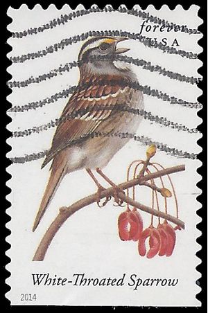 #4891 Songbirds White Throated Sparrow Booklet Single 2014 Used