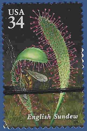 #3531 34c Carnivorous Plants English Sundew 2001 Used