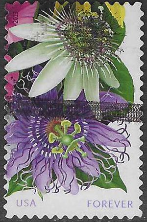 #4753 (46c Forever) 500 year Anniversary La Florida R/L 2013 Used