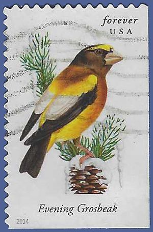 #4887 Songbirds Evening Grosbeak Booklet Single 2014 Used