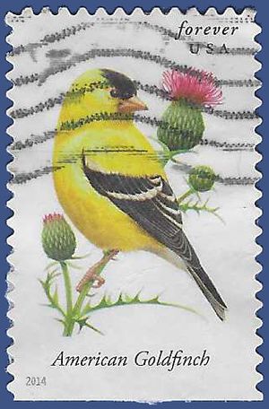 #4890 Songbirds American Goldfinch Booklet Single 2014 Used