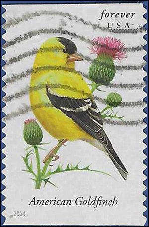#4890 Songbirds American Goldfinch Booklet Single 2014 Used