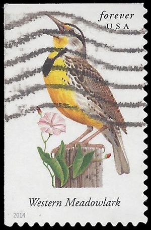 #4882 Songbirds-Western Meadowlark Booklet Single 2014 Used