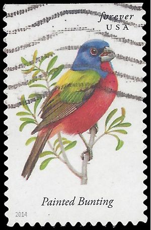 #4885 Songbirds Painted Bunting Booklet Single 2014 Used