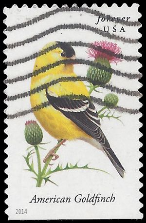 #4890 Songbirds American Goldfinch Booklet Single 2014 Used