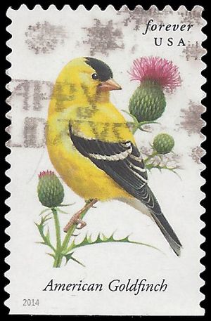 #4890 Songbirds American Goldfinch Booklet Single 2014 Used