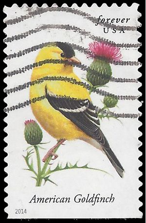#4890 Songbirds American Goldfinch Booklet Single 2014 Used