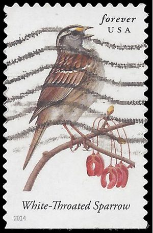 #4891 Songbirds White Throated Sparrow Booklet Single 2014 Used