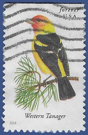 #4884 Songbirds-Western Tanager Booklet Single 2014 Used