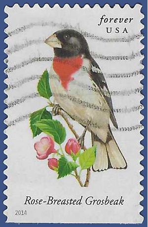 #4889 Songbirds Rose Brested Gosbeak Booklet Single 2014 Used