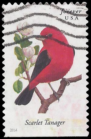 #4888 Songbirds-Scarlet Tanager Booklet Single 2014 Used