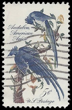 #1241 5c John James Audubon 1963 Used