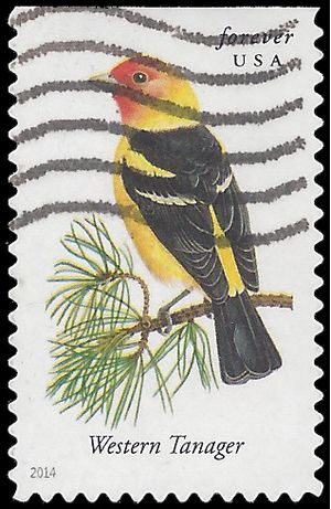 #4884 Songbirds-Western Tanager Booklet Single 2014 Used