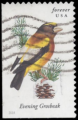#4887 Songbirds Evening Grosbeak Booklet Single 2014 Used