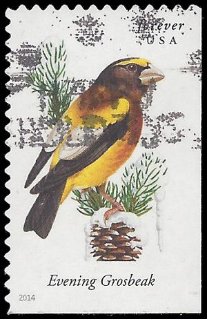 #4887 Songbirds Evening Grosbeak Booklet Single 2014 Used
