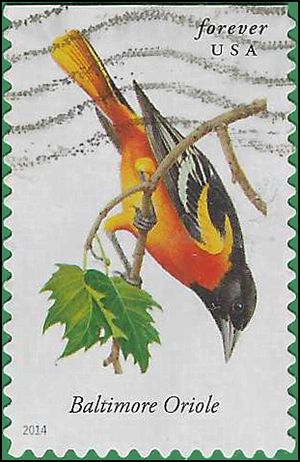 #4886 Songbirds Baltimore Oriole Booklet Single 2014 Used