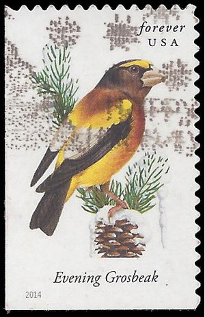 #4887 Songbirds Evening Grosbeak Booklet Single 2014 Used