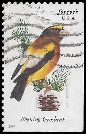 #4887 Songbirds Evening Grosbeak Booklet Single 2014 Used