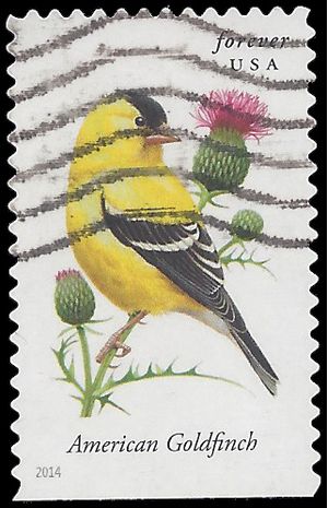 #4890 Songbirds American Goldfinch Booklet Single 2014 Used