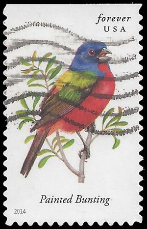 #4885 Songbirds Painted Bunting Booklet Single 2014 Used