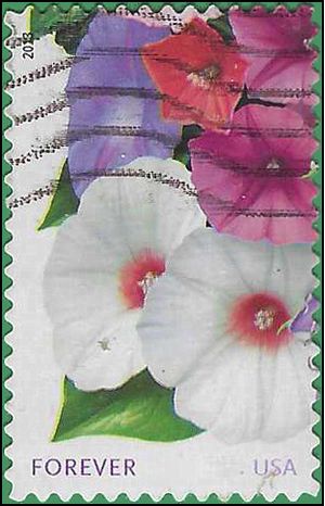 #4752 (46c Forever) La Florida Morning Glory 2013 Used