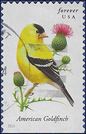 #4890 Songbirds American Goldfinch Booklet Single 2014 Used