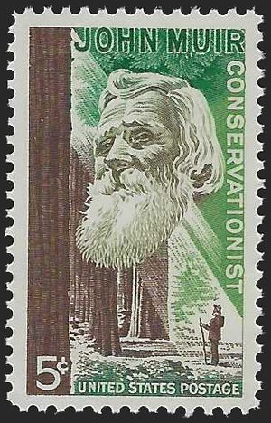 #1245 5c John Muir 1964 Mint NH