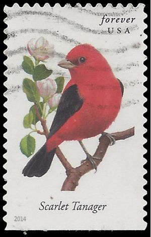 #4888 Songbirds-Scarlet Tanager Booklet Single 2014 Used