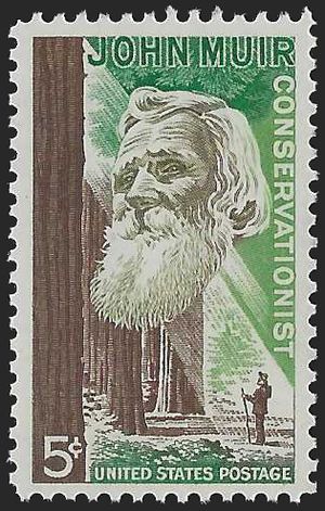 #1245 5c John Muir 1964 Mint NH