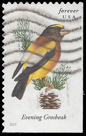 #4887 Songbirds Evening Grosbeak Booklet Single 2014 Used
