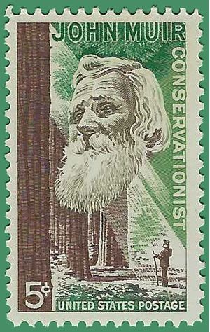 #1245 5c John Muir 1964 Mint NH