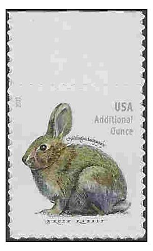 #5544 (Additional Ounce) Brush Rabbit 2021 Mint NH