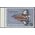 #RW45 $5.00 Federal Duck Stamp Hooded Merganser Drake 1978 Mint NH