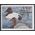 Indiana IN-12 $5.00 Canvasbacks 1987 Mint NH