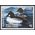 Minnesota MN-11 $5.00 Common Goldeneye 1987 Mint NH