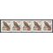 #3044 1c American Kestrel PNC/5 #1111 BBYM 1996 Mint NH