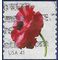 #4173 41c Poppy Flowers Coil Single 2007 Used