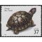 #3818 37c Reptiles and Amphibians Ornate Box Turtle 2003 Mint NH