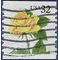 #3054 32c Yellow Rose PNC Single #6666 1997 Used