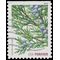 #4479 44c Holiday Evergreens Eastern Red Cedar Booklet Single 2010 Used