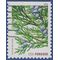 #4479 44c Holiday Evergreens Eastern Red Cedar Booklet Single 2010 Used