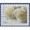 #4520 (44c Forever) Wedding Roses 2011 Used